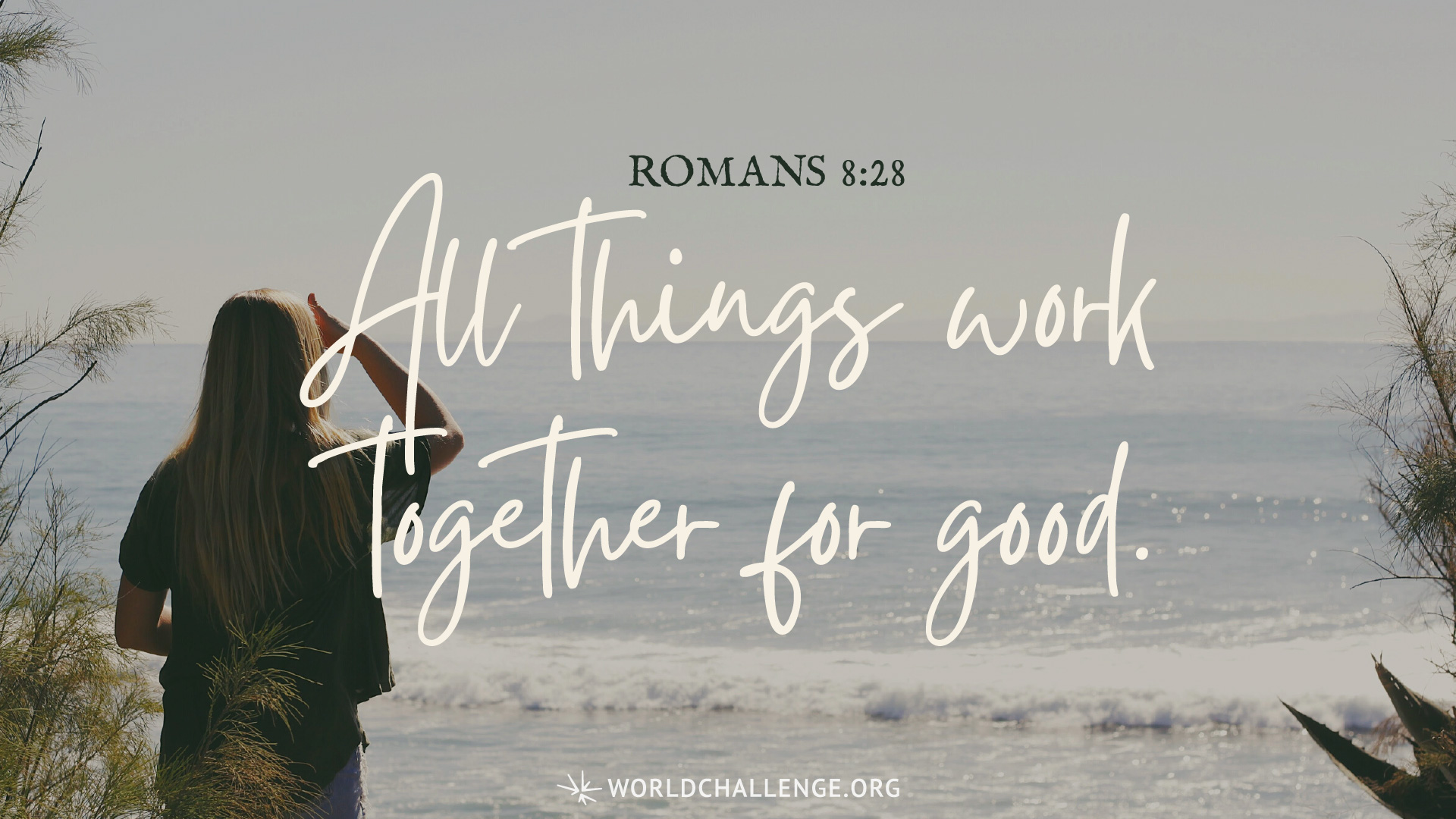 Romans 8:28 