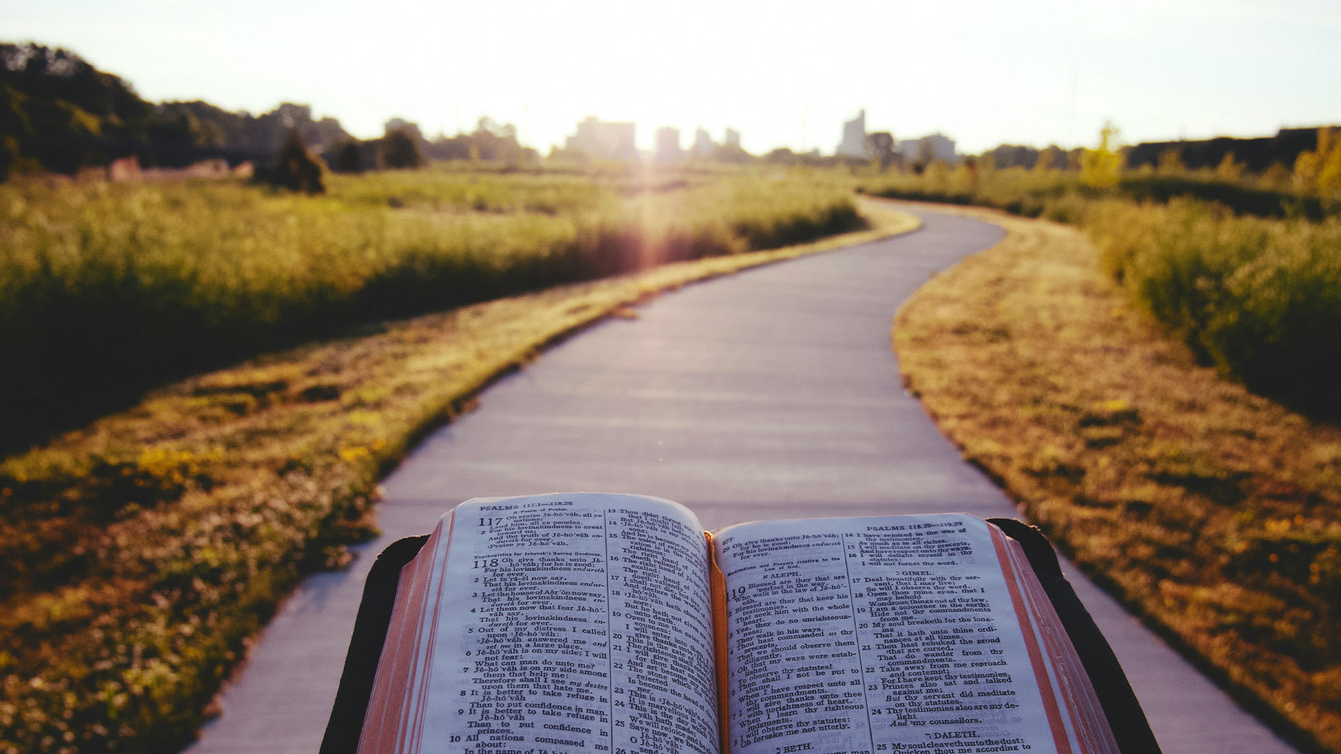A narrow road with Bible
