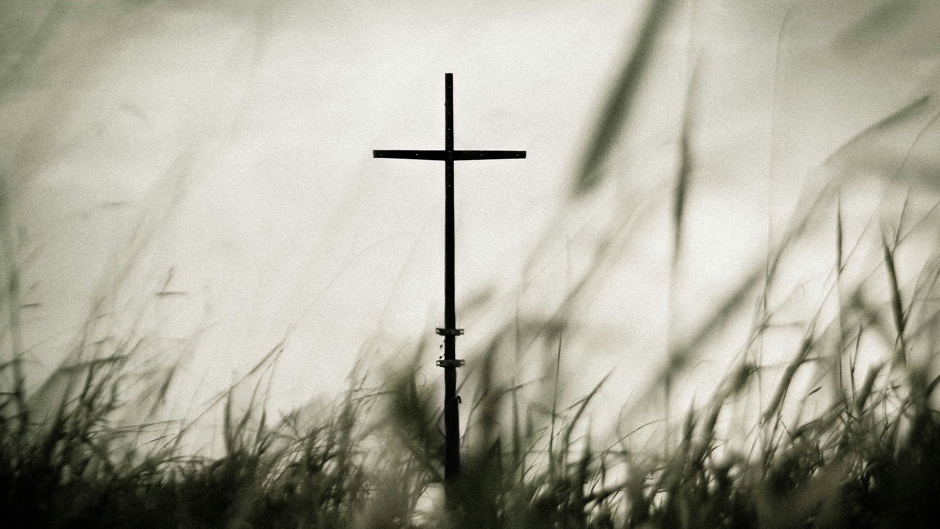 cross in grass