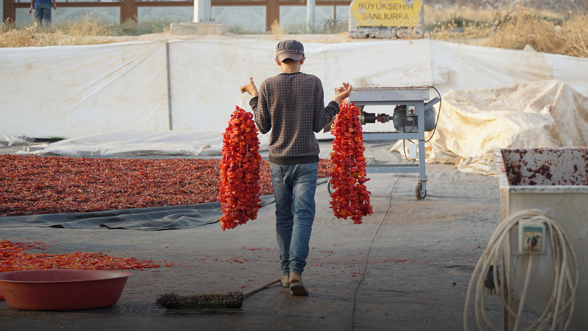 refugee holding produce for drying