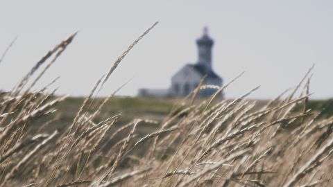 Church steeple in background